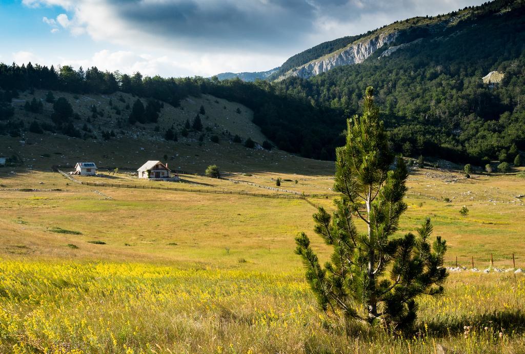 Vila Mountain House Varda